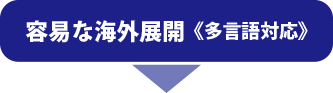 容易な海外展開　多言語対応